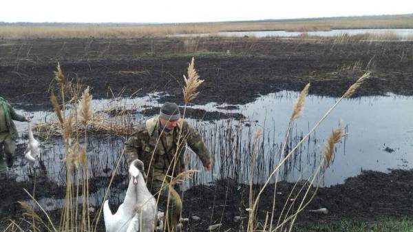 леж